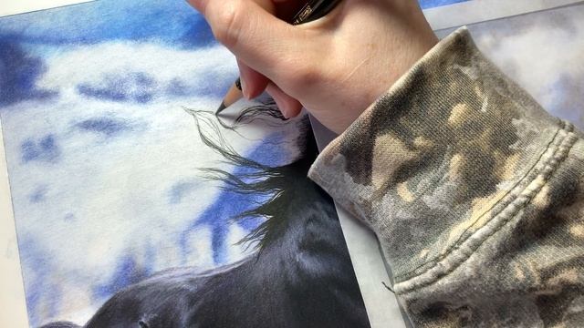 Beginners Horse Hair Tips With Colored Pencils - Drawing Tips Tutorial смотреть онлайн