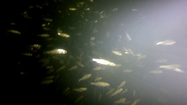 РЭБ Омск зимняя подводная съемка смотреть онлайн