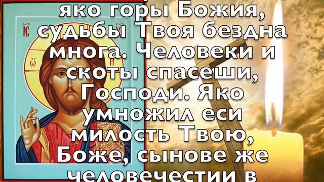 ПРОЧТИ СЕЙЧАС! ДЕНЬГИ ПРИДУТ К ВАМ ПОСЛЕ ПРОЧТЕНИЯ! Молитва на деньги смотреть онлайн