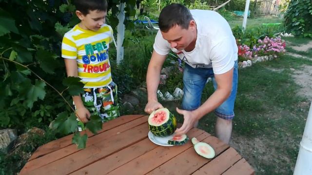 Проба вырощенного урожая мистера Тигра