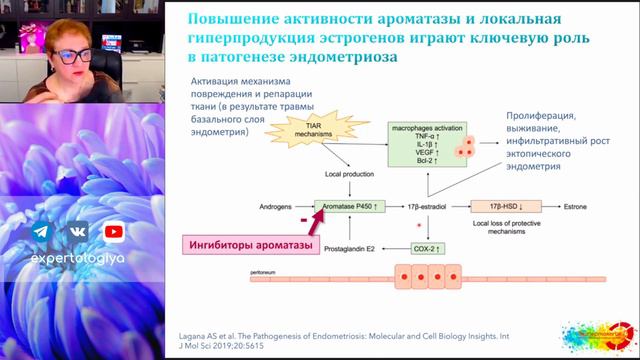 Тайны знаменитостей: мир тайн культов