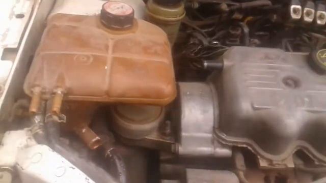 ford focus 2004 con ecu sin chispa y pulsos de inyeccion cel 934813746 parte 1 смотреть онлайн