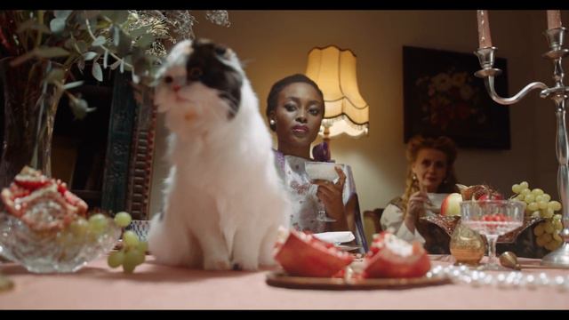 Славные Кошки СМОТРЕТЬ | Видео Про Кошек | Видео Про Животных смотреть онлайн