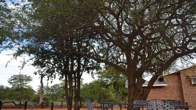 Munati Lodge - Hotel in Musina, South Africa смотреть онлайн