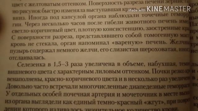 ВІРУСНА ГЕМОРАГІЧНА ХВОРОБА КРОЛІВ смотреть онлайн