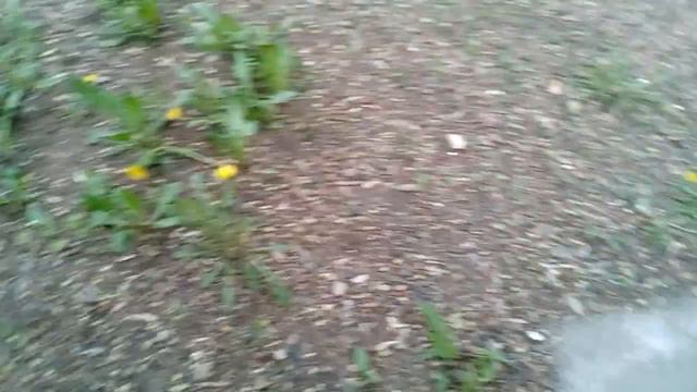 Я себе сломал палец