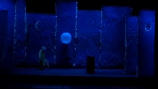 Палунин шоу 5 смотреть онлайн