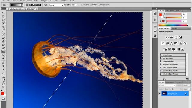 ? Selection Hotkeys • Photoshop CS5 Fundamentals • Graphic Design • Image Creation / Edit • (Pt. 77 смотреть онлайн