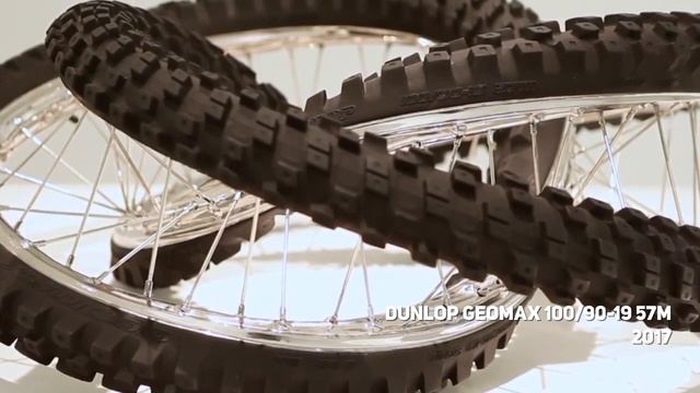 WIM DELVOYE. GARY TATINTSIAN GALLERY. 09 Nov - 9 Feb 2019 смотреть онлайн