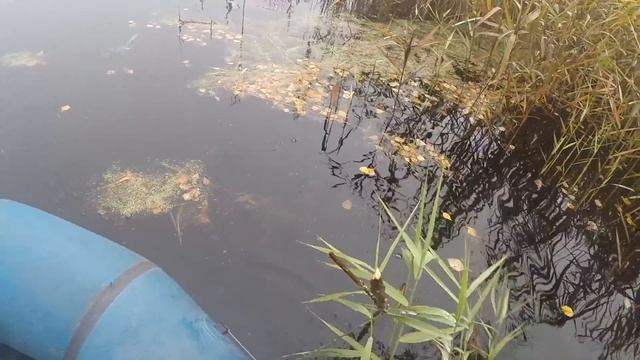 Летняя жерлица на щуку. Установка летней жерлицы, видео rybachil.ru смотреть онлайн