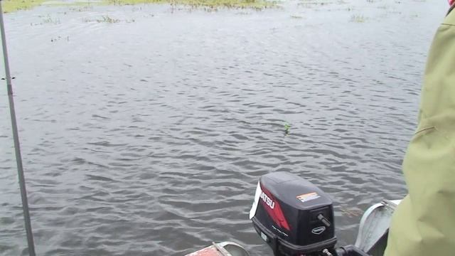 Прогноз рыбалки на 01 - 10 октября 2013 смотреть онлайн