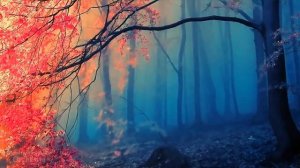 Ave Maria! Шикарная обработка!!! "Дмитрий Метлицкий & Оркестр" - Ave Maria/Instrumental music