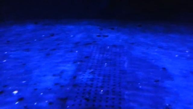 Gentoo Penguins, The Deep, Hull смотреть онлайн