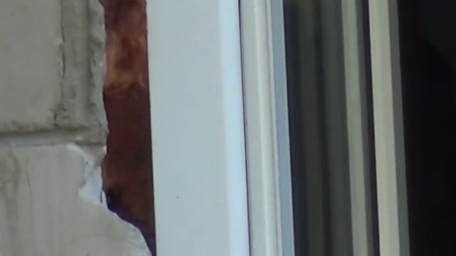 1 000 000гр. на капитальный детского садика "Солнышко" в Василькове. смотреть онлайн