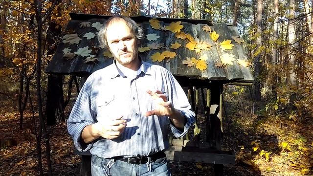 Аппимондия –польза продуктов пчеловодства смотреть онлайн