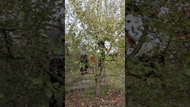 бригада-город Нальчик. Кабардино-Балкарская республика. и продавать смотреть онлайн