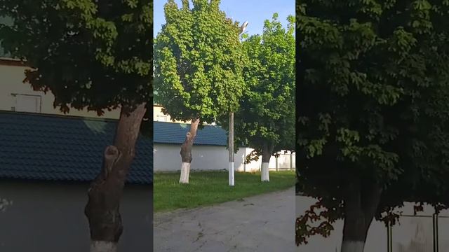 Рязанская область, Сараевский район Сараи,так здесь красиво. смотреть онлайн