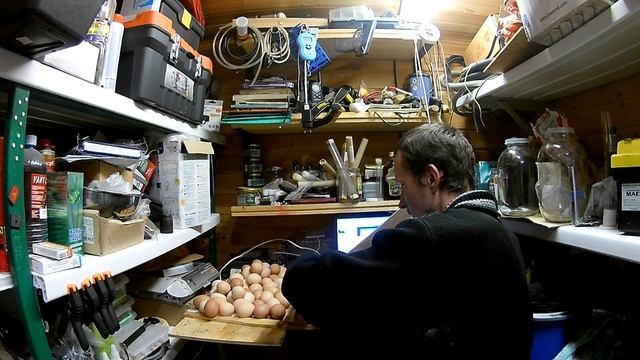 Дезинфекция. Мойка яиц. Закладка в инкубатор куриных яиц. смотреть онлайн