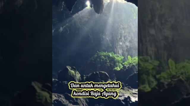 INCEST‼️Cinta Terlarang Putri Kerajaan Brunei смотреть онлайн