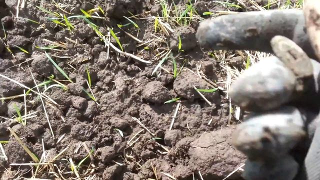 Закрытие сезона 2015. Коп по Китаю. Часть 11.