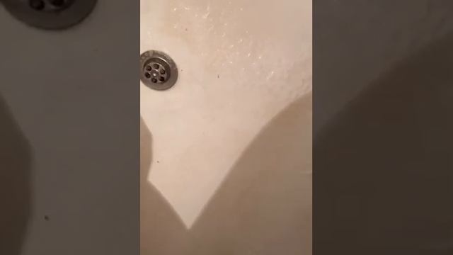 Затест чистящего средства для ванн и душевых кабин фаберлик ??? смотреть онлайн