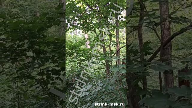 Отзыв об оборудованиии Starlink из зоны СВО / strlnk-msk.ru смотреть онлайн