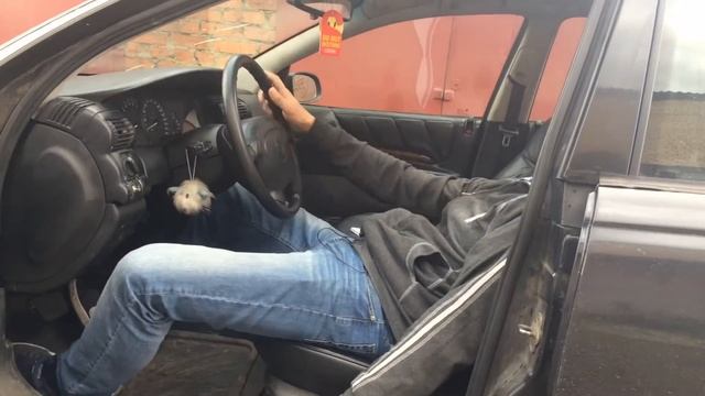Опель омега обзор | или как угнать opel omega если руки из жопы смотреть онлайн