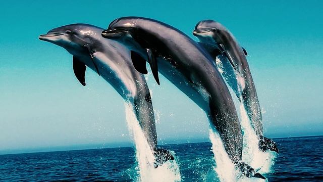 Клубника это Орех а Банан это Ягода ТОП 20 Фактов обо Всем на Свете Которых Вы не знали смотреть онлайн