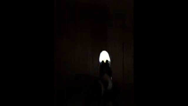 Prepare for the Darkness ahead! Nike Flash! смотреть онлайн