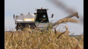 Комбайны "НИВА-ЭФФЕКТ" в ДЕЙСТВИИ!