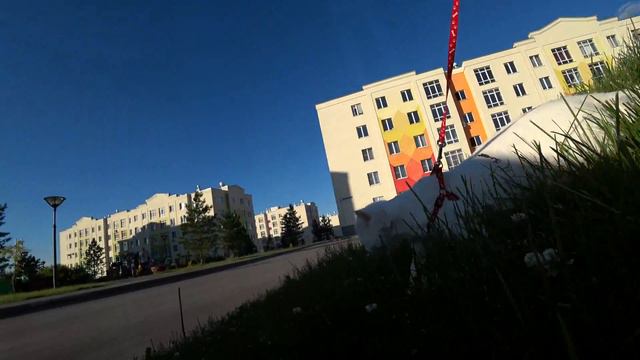 Кот попал на детскую ласку! 4K