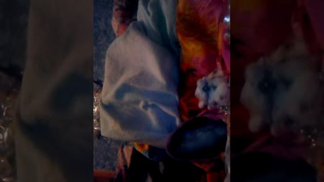 ."Лето.Солнце.Море.Пляж" 3 эпизод смотреть онлайн