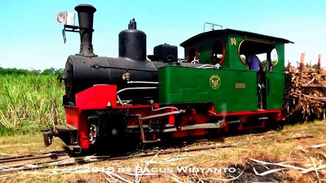 2018 Java Steam & Sugar Tour: Kedawung Steam Loco Tour смотреть онлайн