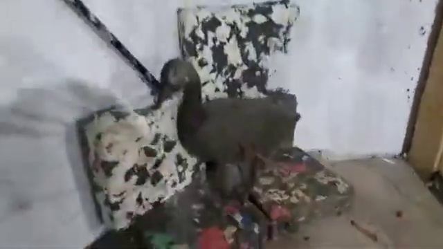 Новогодний челлендж 2020 продолжается)) смотреть онлайн