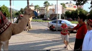 Наша раша нарезки