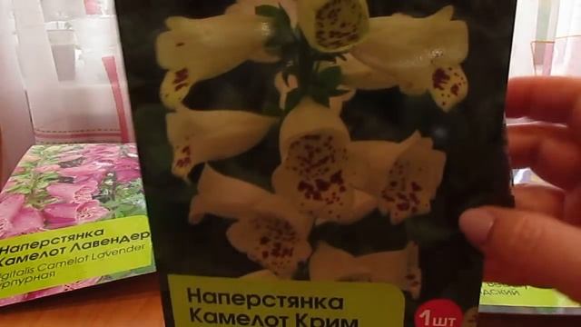 Ирисы голландские смотреть онлайн