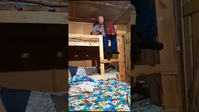 "Постой паровоз, не стучите колеса" Николай Харлов, баян смотреть онлайн