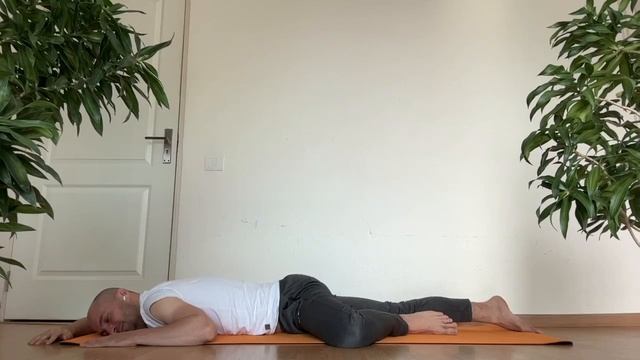 Йога с Филом Дунским 13 января 2023 смотреть онлайн