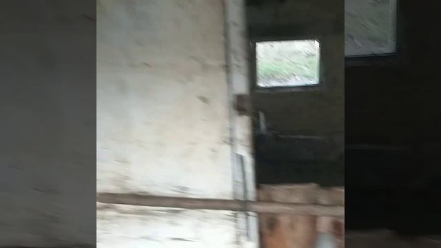 БИЗНЕС НА БЫЧКАХ. СКОЛЬКО МОЖНО ЗАРАБАТЫВАТЬ НА БЫЧКАХ. смотреть онлайн