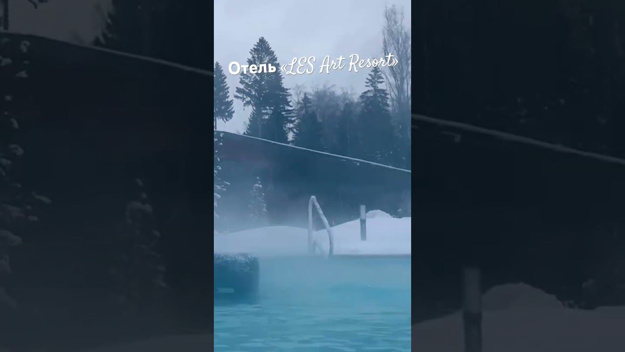 «LES Art Resort» отзыв о отели в 2024 году #lesart #подмосковье #отель #resort #murlinvk смотреть онлайн