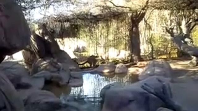 Zoo poo 04 смотреть онлайн