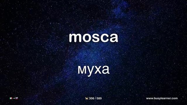 Самые важные итальянские слова и фразы по темам для начинающих. Учим итальянский язык на автопилоте смотреть онлайн