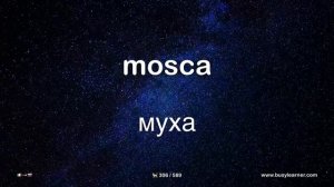 Самые важные итальянские слова и фразы по темам для начинающих. Учим итальянский язык на автопилоте