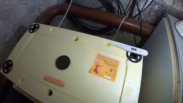 Инкубатор золушка на 45 яиц. Инкубация от новичка. Закладка инкубатора.