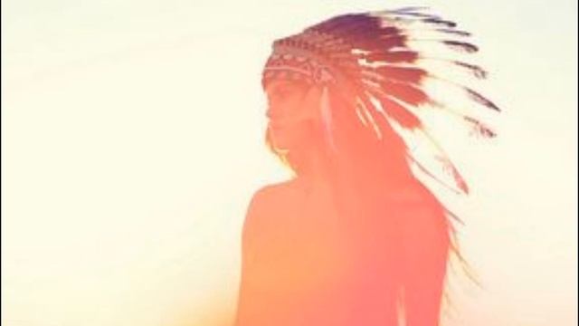 Городская чайка