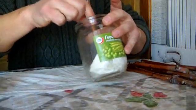 Укоренение черенков винограда.