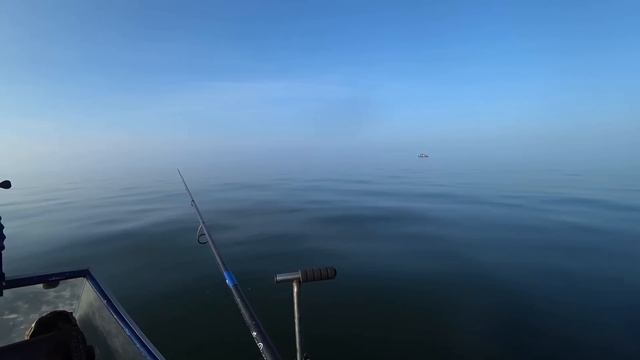 КАЧАЕМ С ГЛУБИНЫ! БОЛЯТ РУКИ ОТ ТАКОГО! ДА ХОТЬ 100КГ!!! ТРЕСКА В БАЛТИКЕ смотреть онлайн