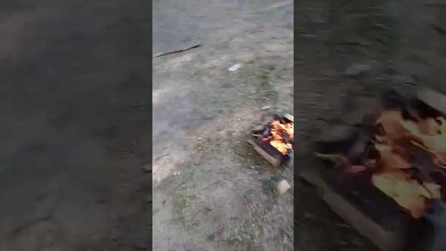 #первое_видео