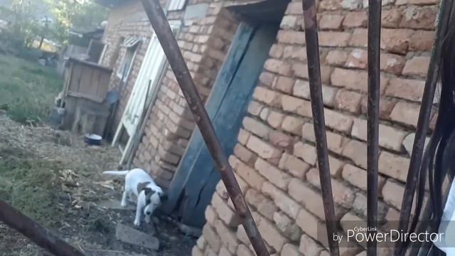 Разходка на Кейтушка 2-ра част😏🤗 смотреть онлайн