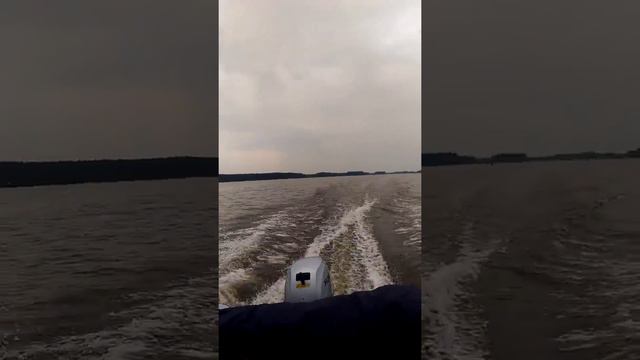 Лодка воронеж xonda bf20 смотреть онлайн